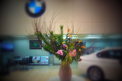 Decoration