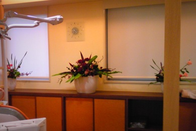 Decoration