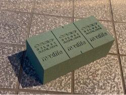 オアシス