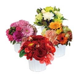 Color Flower
