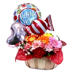 Balloon Basket