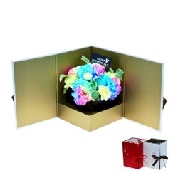 Rainbow Carnation