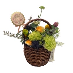 Basket Flower