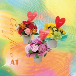 母の日 Color Flower