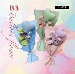 Balloon flower SharryBaby
