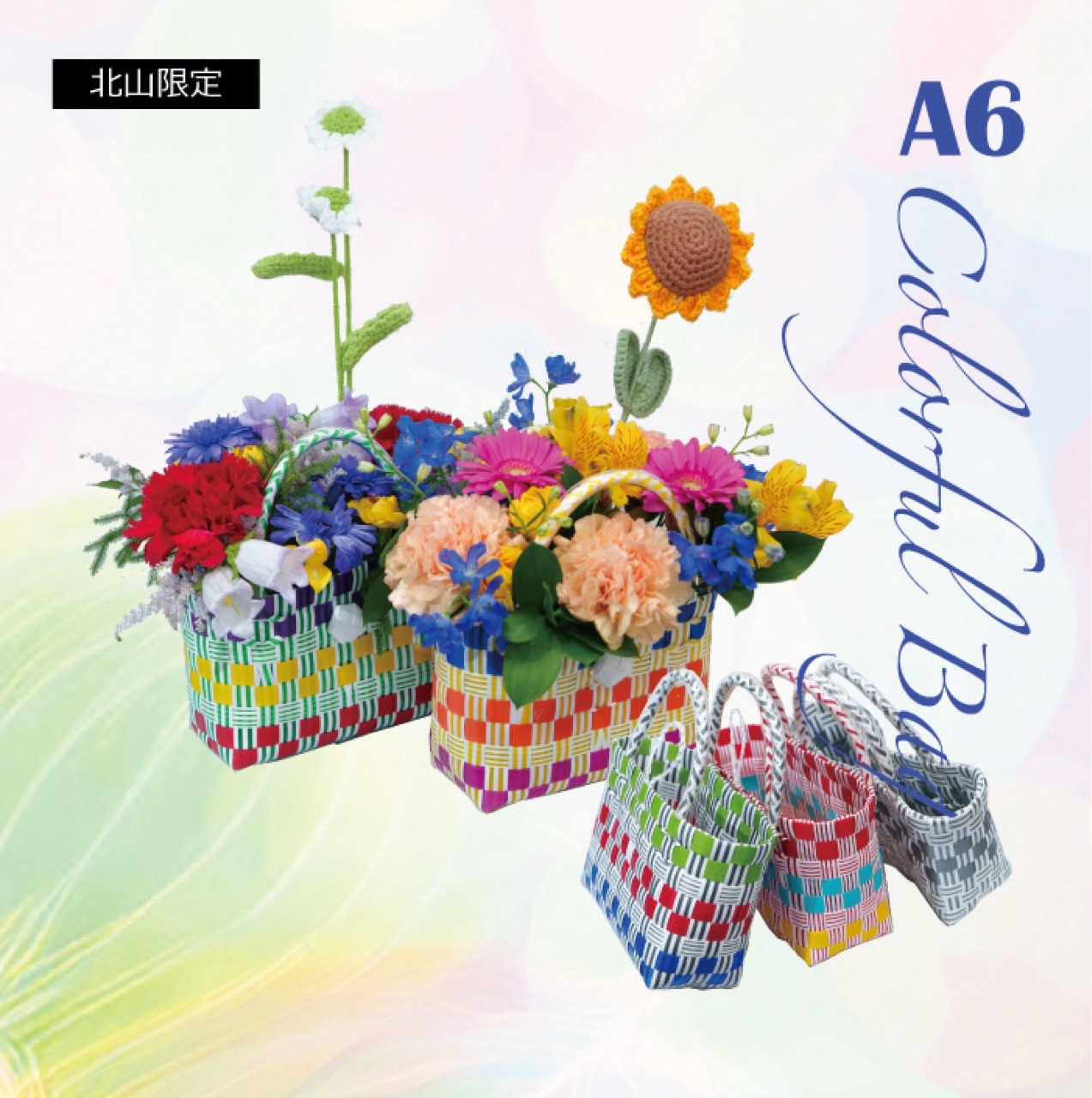 Colorful Bag